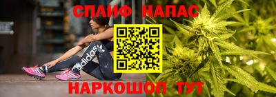 хмурый Тула