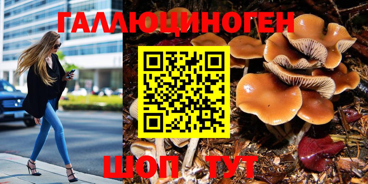 Галлюциногенные грибы Magic Shrooms  Вход с VPN  Всеволожск  Псилоцибиновые грибы Psilocybine cubensis 