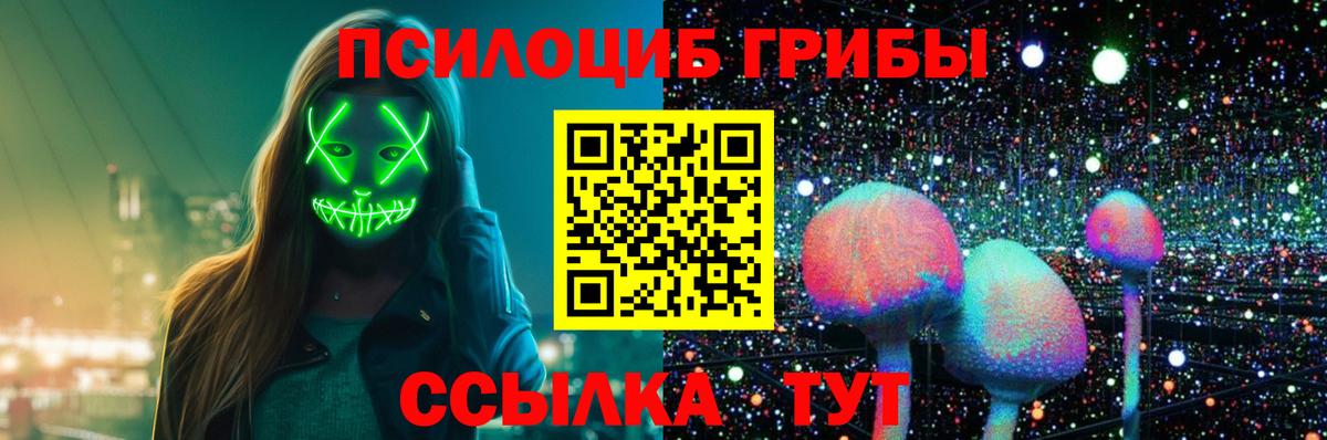 Псилоцибиновые грибы Psilocybine cubensis Всеволожск
